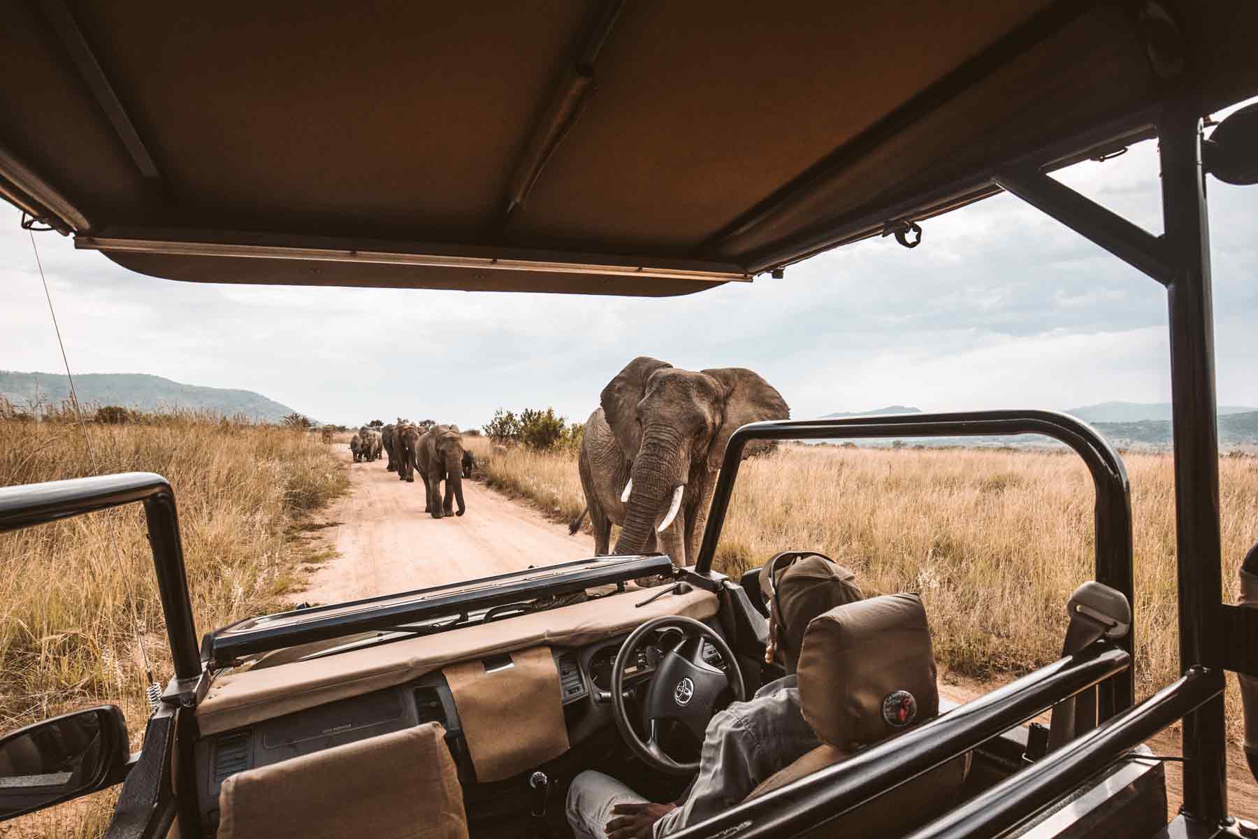 6 Days Lake Manyara – Serengeti | Ngorongoro – Tarangire Safaris