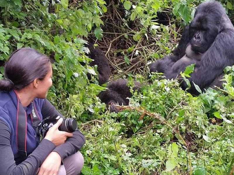 3-Day Tour to Uganda – Gorilla Trekking Bwindi Forest