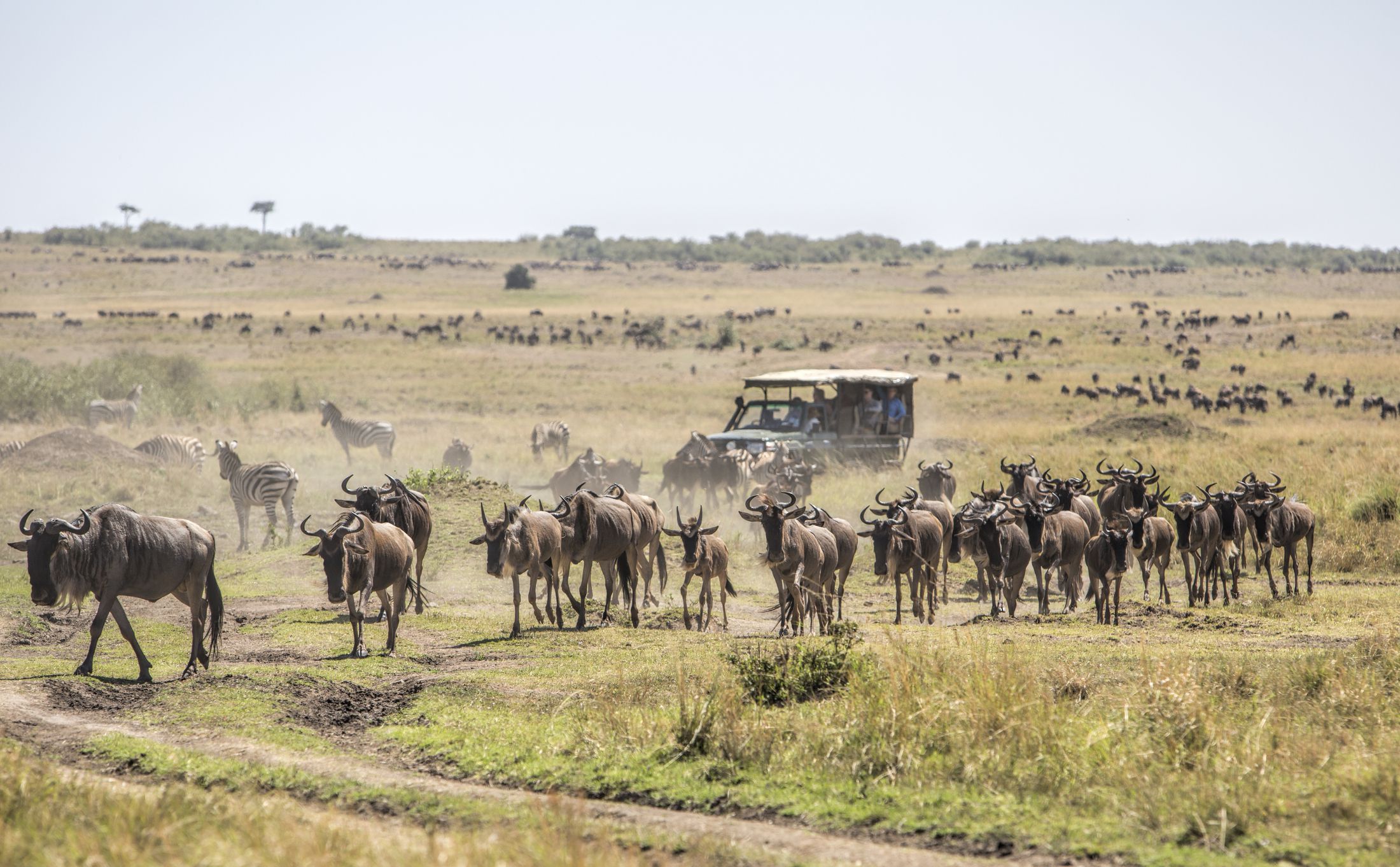 4-Day Safari to Kenya – Masai Mara with Big 5 Sighting